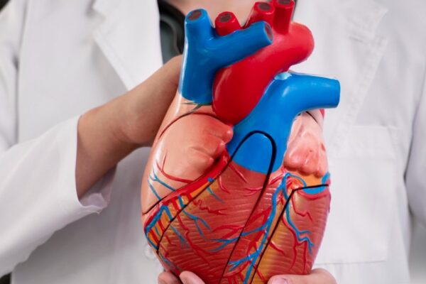 heart